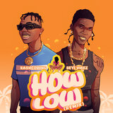 How Low (Remix)