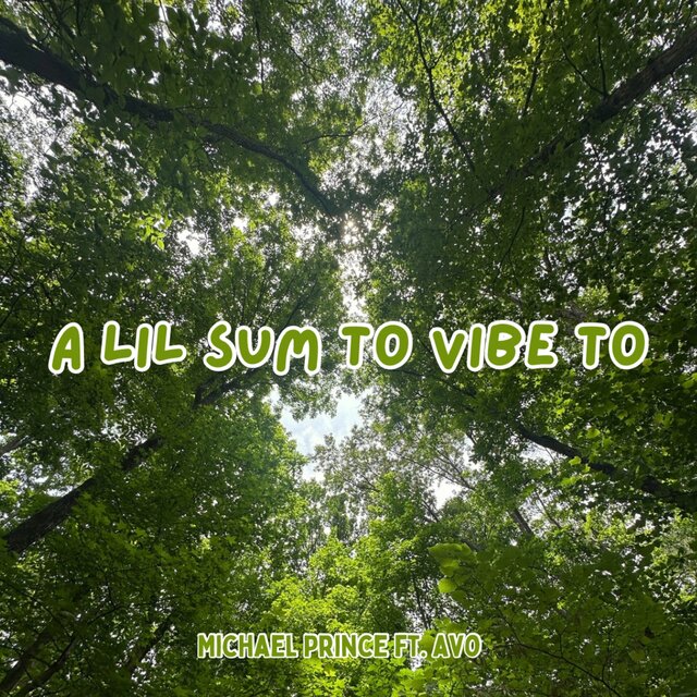 A Lil Sum to Vibe To