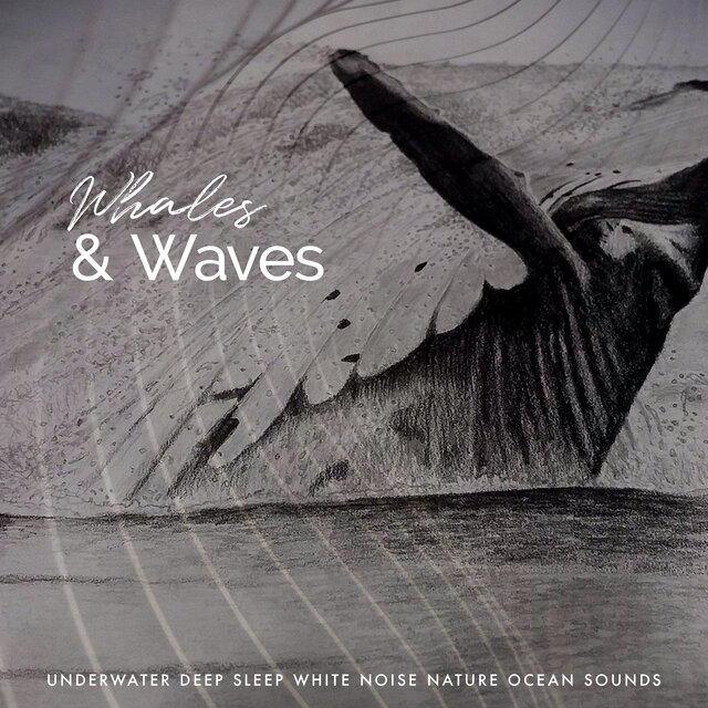 Whales & Waves