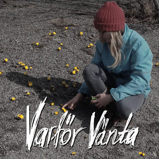 Varför Vänta
