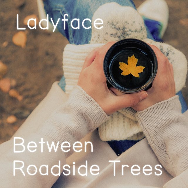 Between Roadside Trees