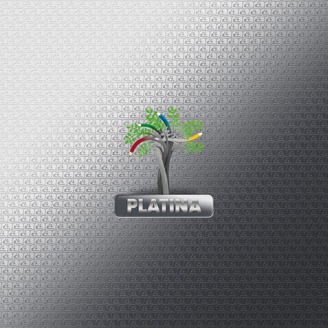 Platina (Oktatási segédanyag)