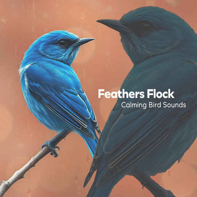 Feathers Flock