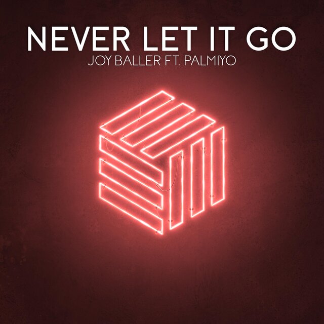 Never Let It Go (feat. Palmiyo)