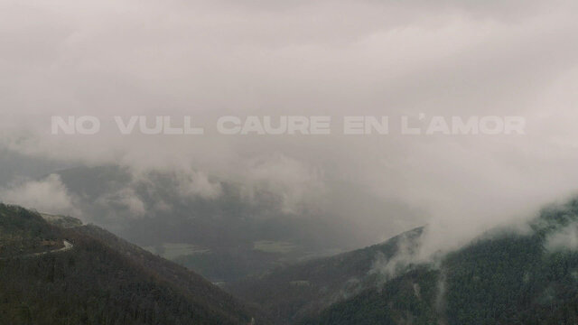 No vull caure en l'amor