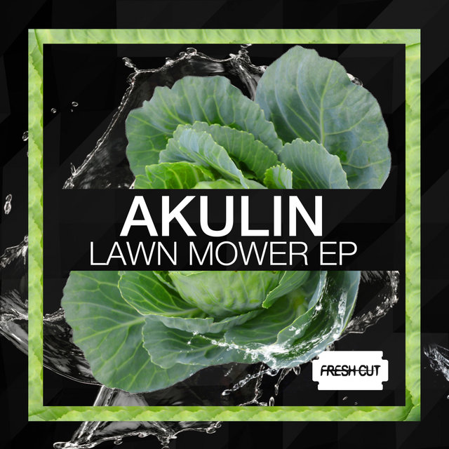 Lawn Mower