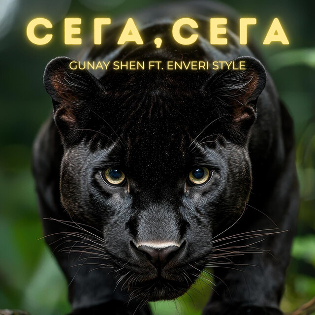 СЕГА, СЕГА