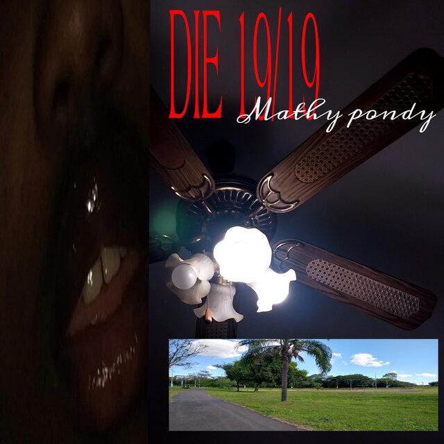 Die 19/19
