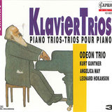 Trio in A Minor, Op. 114: I. Allegro