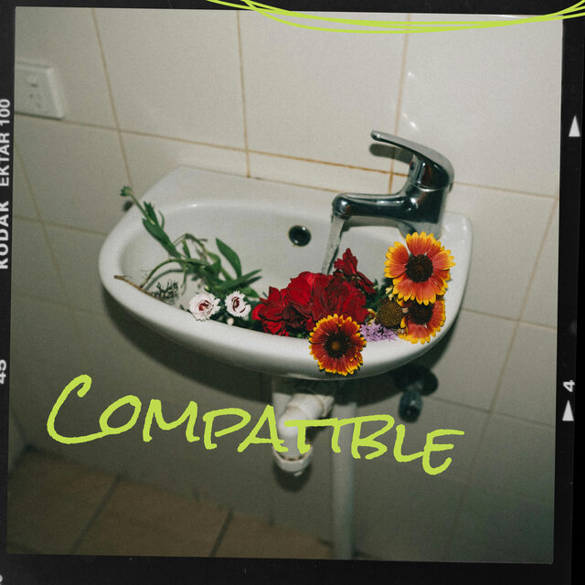 Compatible