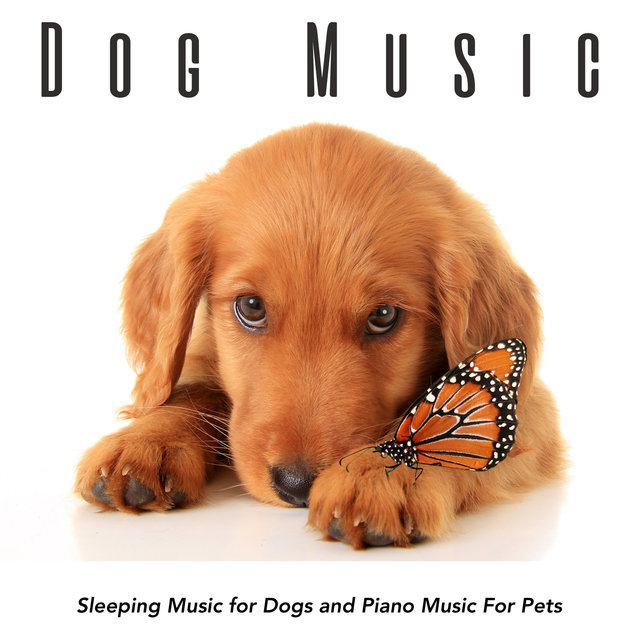 songs that make puppies go to sleep