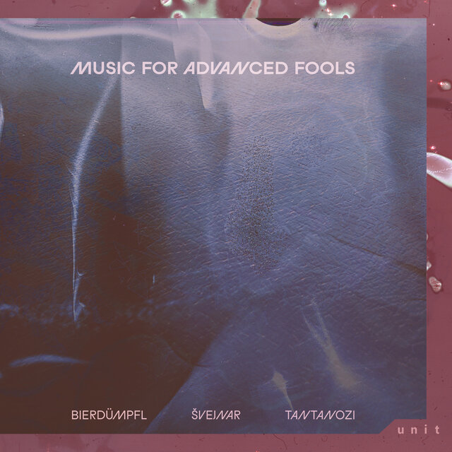 Cover art for album Music for Advanced Fools by Daniel Bierdümpfl, Jakub Švejnar, Marina Tantanozi