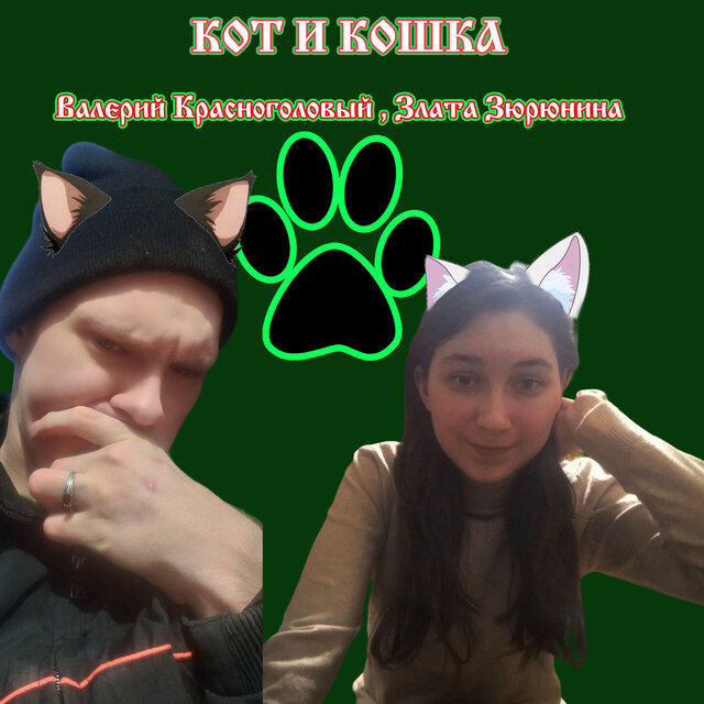 Кот и кошка