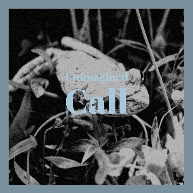 Unimagined Call