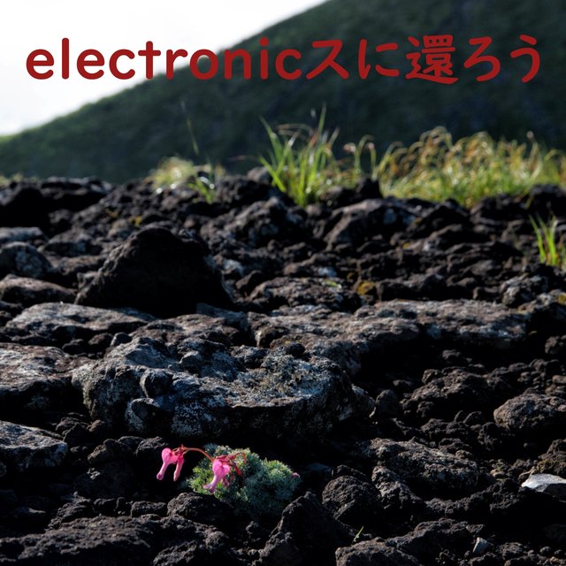 electronicスに還ろう