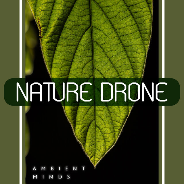 Nature Drone