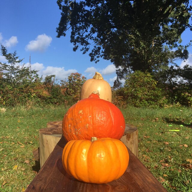 Courge-Métrage