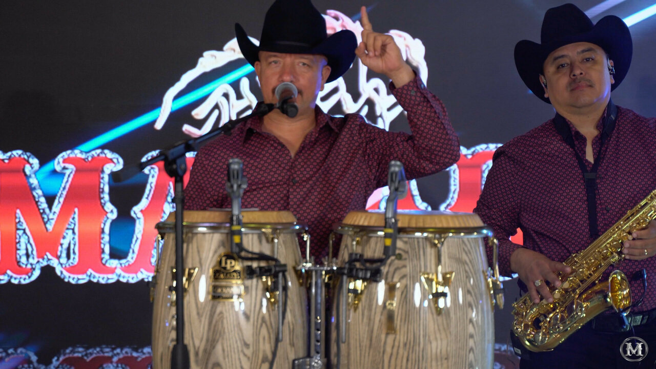 Popurrí Tigrillos Cumbias (Gallito Copeton y Que Linda Es Lupe) (En Vivo)