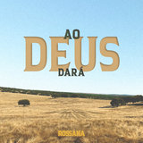 Uma Noite um Pardal