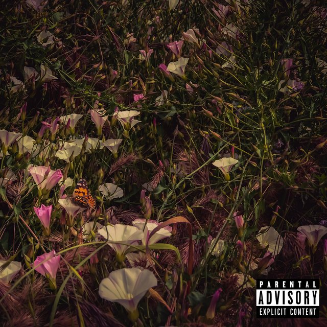 No Rain, No Flowers