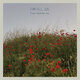 Cover art for album Farvel, sol by Don't Feed the Sun