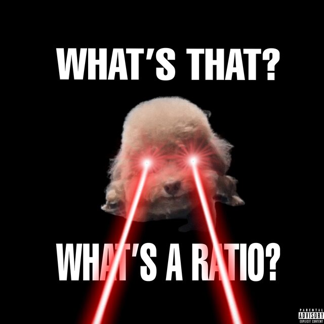 WHAT'S THAT? WHAT'S A RATIO?
