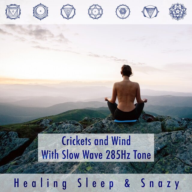 Crickets and Wind with Slow Wave 285hz Tone