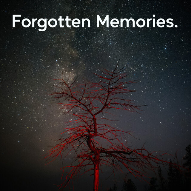 Forgotten Memories