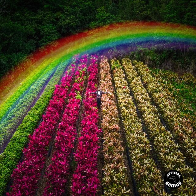 RAINBOW