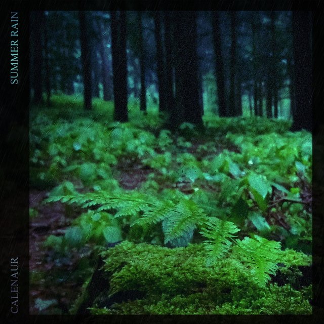 Summer Rain