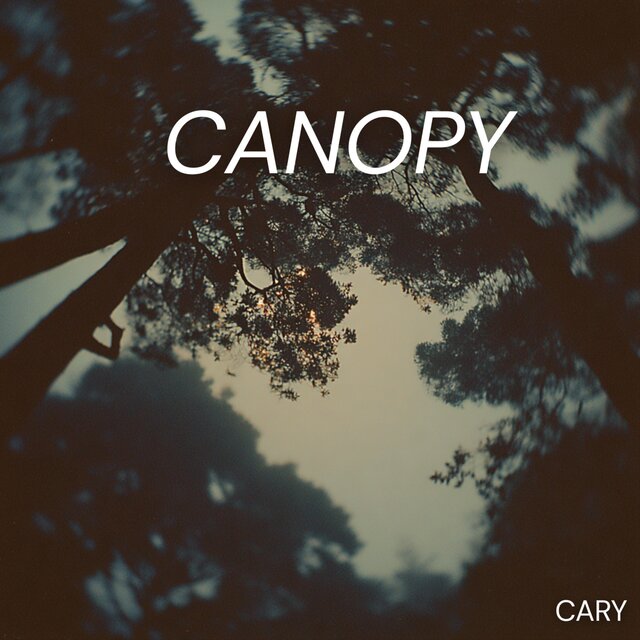 Canopy