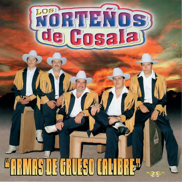 Armas de Grueso Calibre