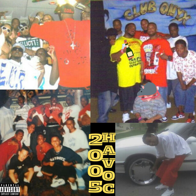 Lil' Havoc: 2005