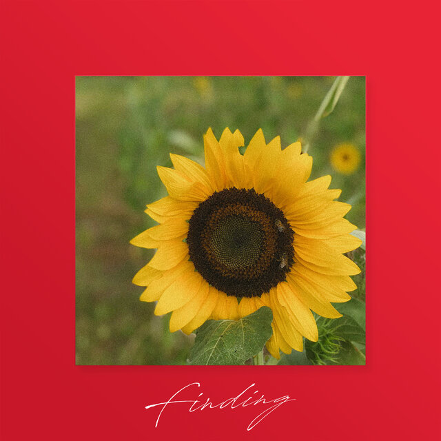 Finding