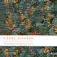 Cover art for album Wissmer: Un long voyage by Trio Steuermann
