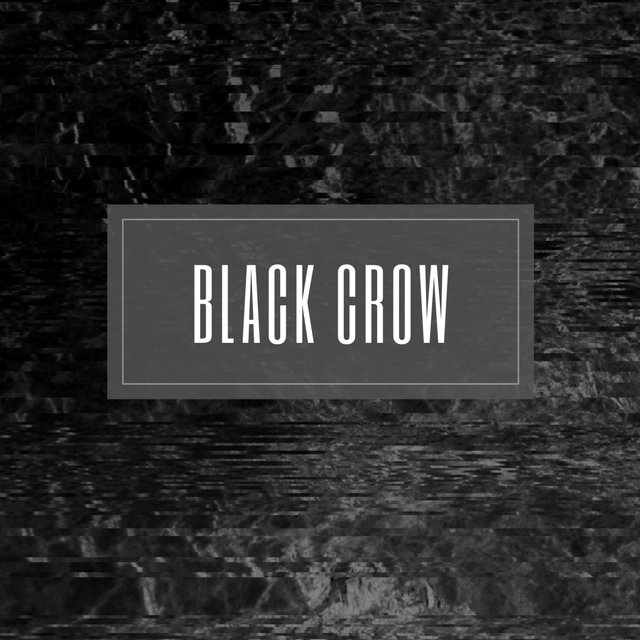 Black Crow
