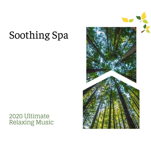 Soothing Spa - 2020 Ultimate Relaxing Music