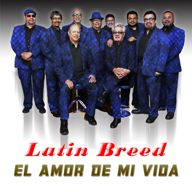 El Amor de Mi Vida