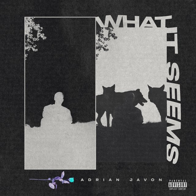 What it Seems