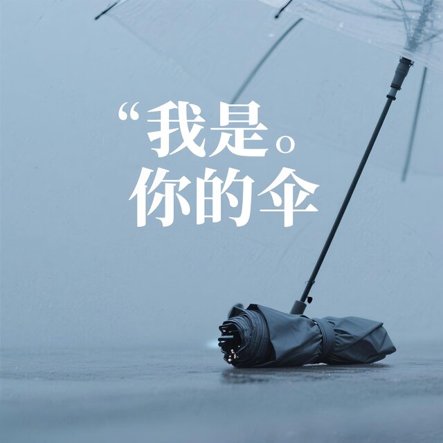 我是你的伞
