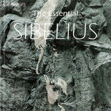 Symphony No. 4 in A Minor, Op. 63: II. Allegro molto vivace