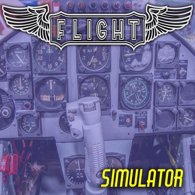 Simulator
