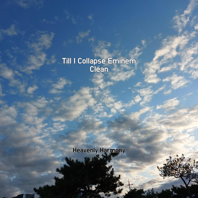 Till I Collapse Eminem Clean