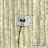 Dente de Leão