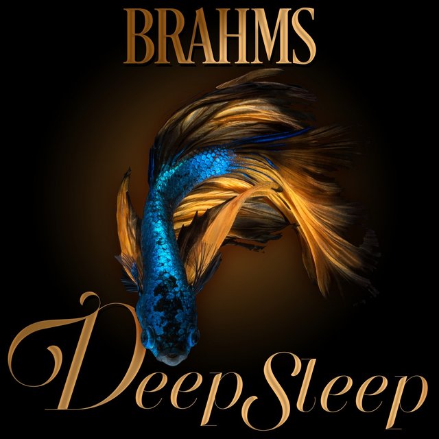 Brahms Deep Sleep