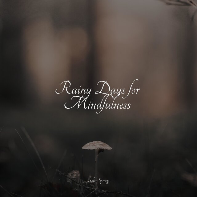 Rainy Days for Mindfulness