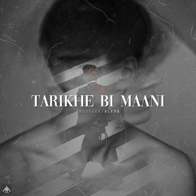 Tarikhe Bi Maani