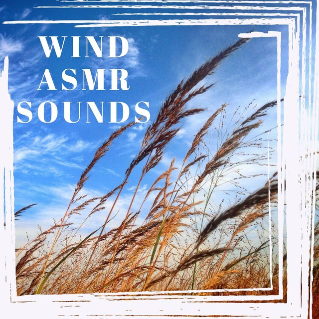 Wind ASMR Sounds - Essential White Noise Ambient