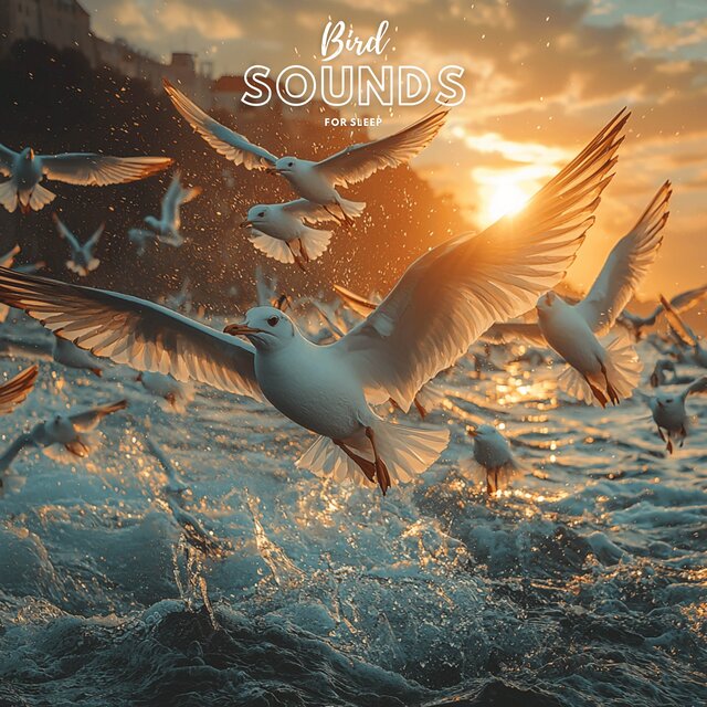 Bird Sounds for Sleep