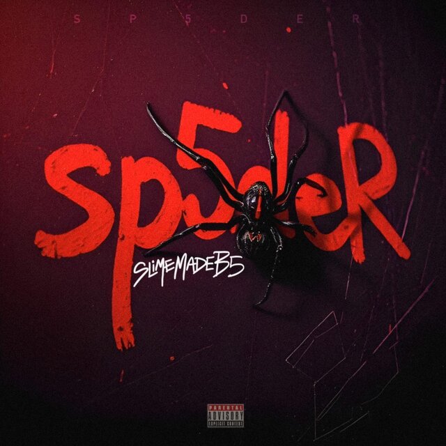 Sp5deR